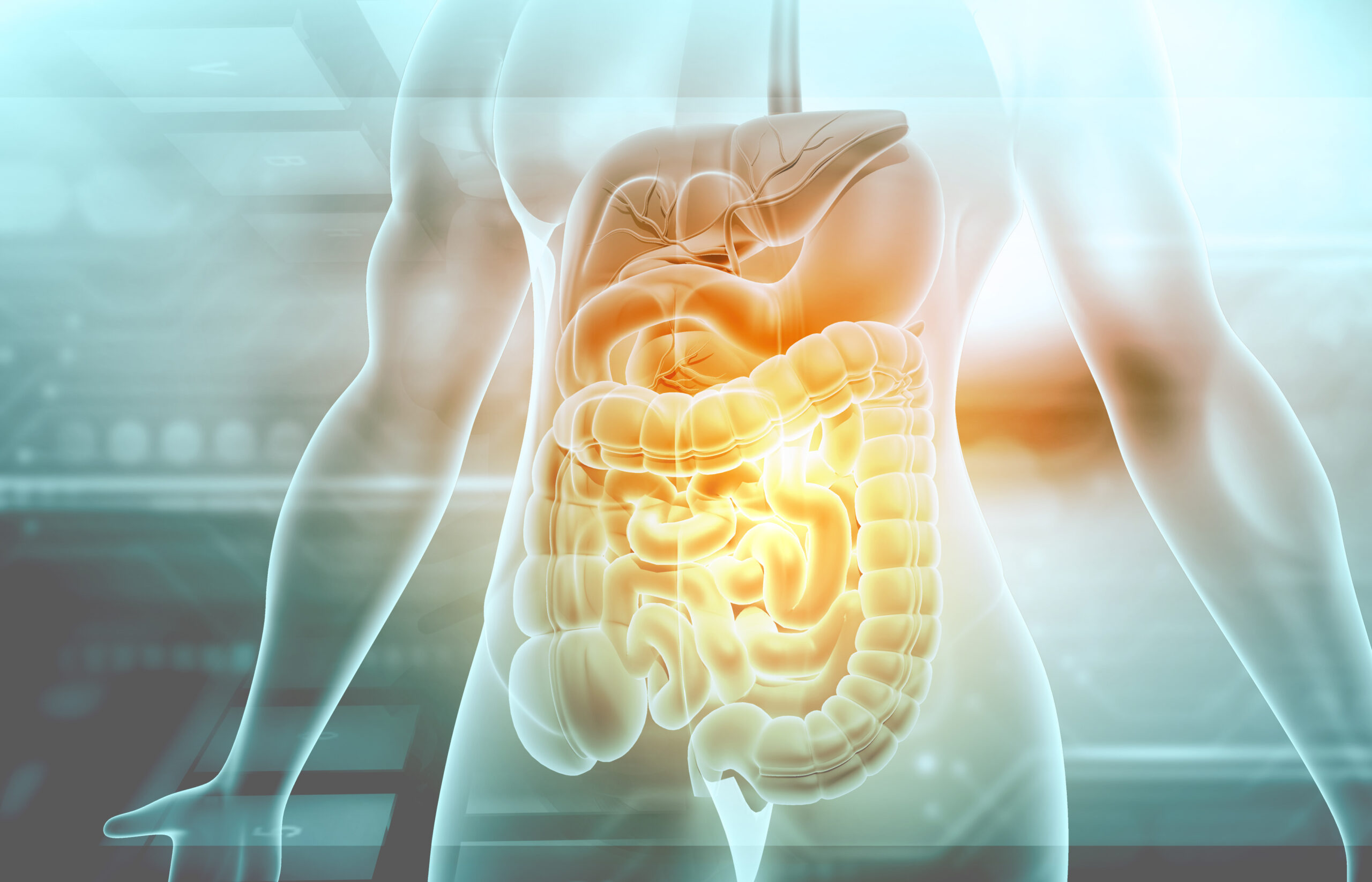 A graphic concept image detailing the silhouette of a person's torso. The gastrointestinal system is highlighted.